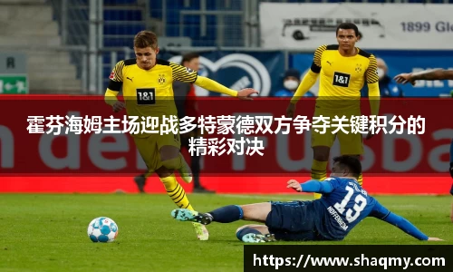 霍芬海姆主场迎战多特蒙德双方争夺关键积分的精彩对决